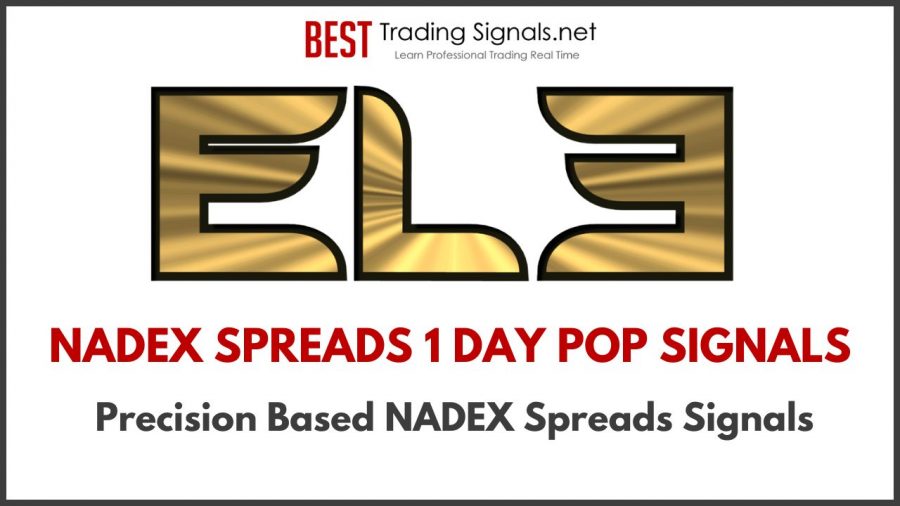 EL3 Day Trading Signals Services