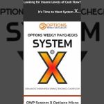 OWP System X – a New Work from Home Method